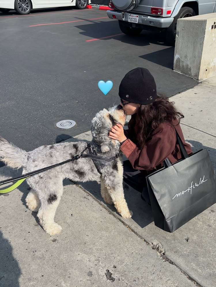 引用:ジヒョのSNSアカウント